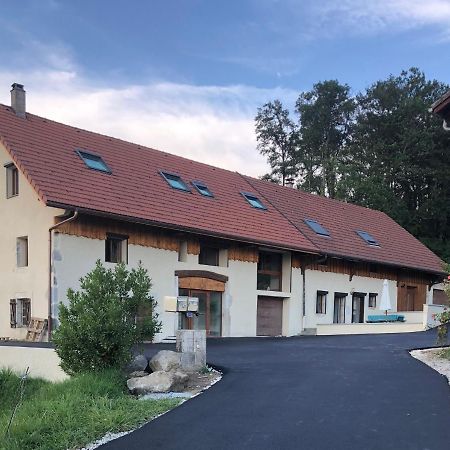 T4 Meuble De 105M2 Axe Annecy-Geneve Lägenhet Saint-Martin-Bellevue Exteriör bild